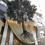 Athens Deluxe Hotels Classical Athens Imperial Hotel