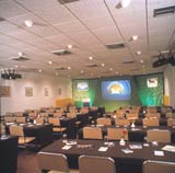 Cypria Maris Conference Room