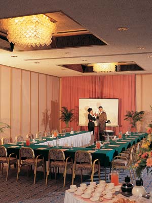 Palm Beach Hotel & Bungalows - Conferences' Room