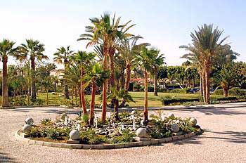 Palm Beach Hotel & Bungalows - Κήπος