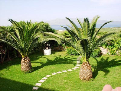 Arhontariki Villa - Garden