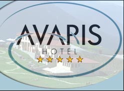 Ξενοδοχείο Avaris Καρπενήσι Ευρυτανία Στερεά Ελλάδα