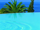 Marbella Hotel Hotel - Swimming Pool