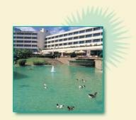 View of Mirage Park Resort Hotel
