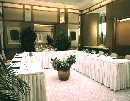 Sheraton Voyager - Meeting Room