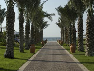 Coral Beach Resort Palmtrees