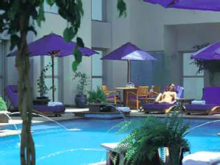 Dusit-Dubai Hotel Swimming Pool
