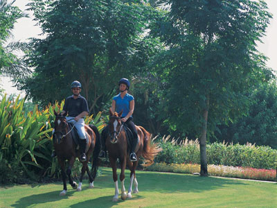  Jebel Ali Golf Resort & Spa - Horseriding resort gardens