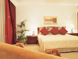 Taj's Palace Hotel Double Room